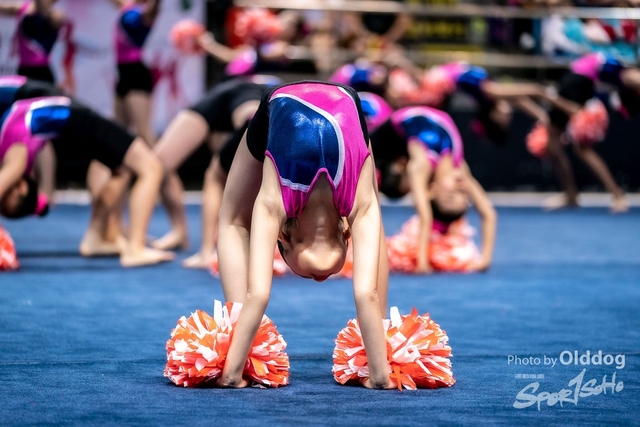 Gymnastics-356