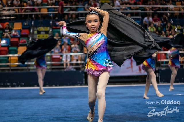 Gymnastics-365