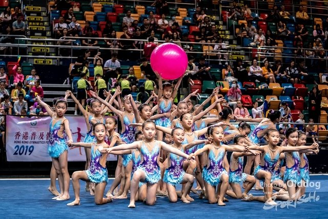 Gymnastics-458