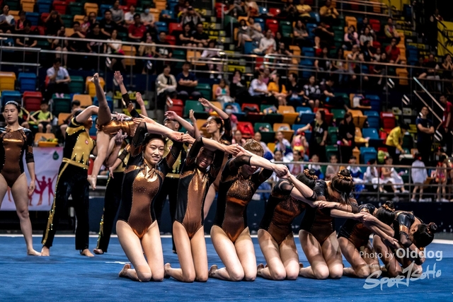 Gymnastics-481