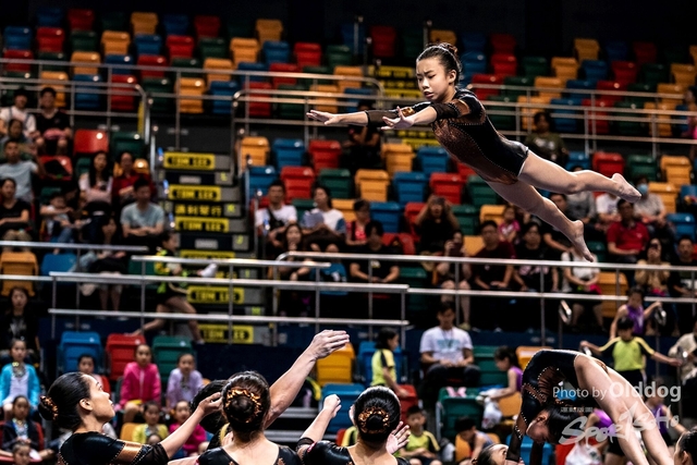 Gymnastics-485