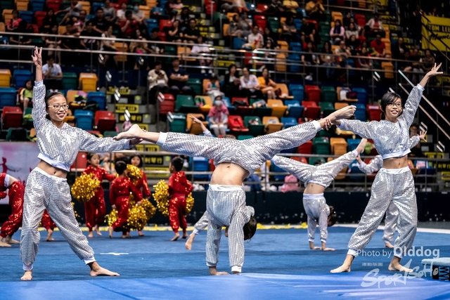 Gymnastics-536
