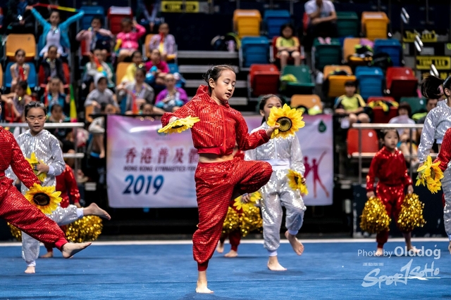 Gymnastics-553