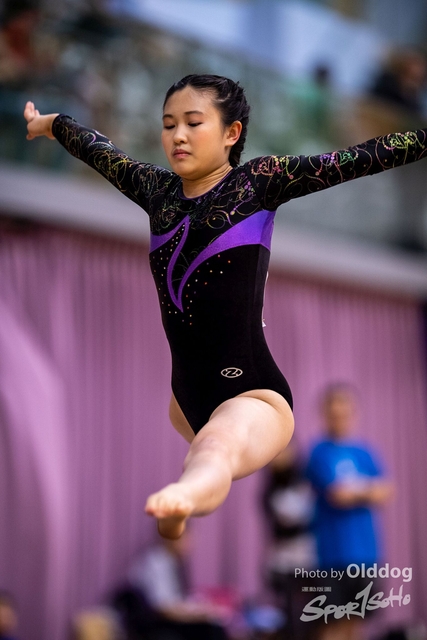 Gymnastics-133