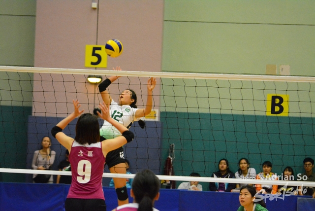 DSC_0391 (2)