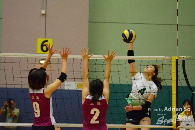 DSC_0410 (2)