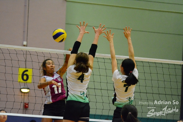 DSC_0525 (2)