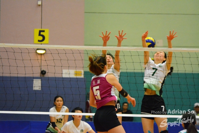 DSC_0660 (2)