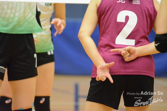 DSC_0673 (2)
