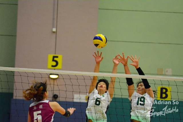 DSC_0726 (2)