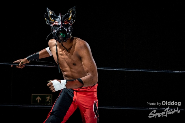 Wrestling-49