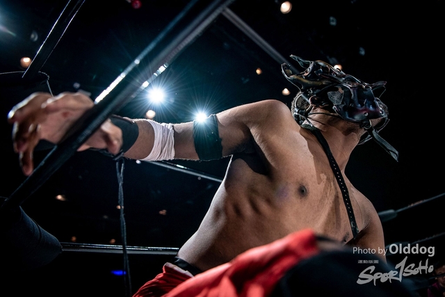 Wrestling-53