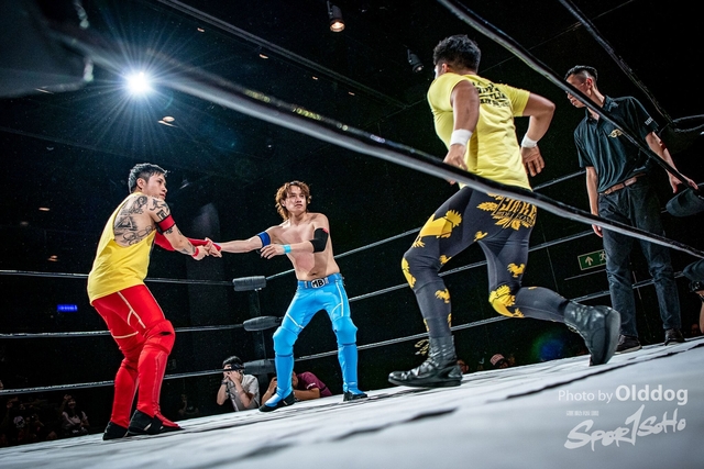 Wrestling-88