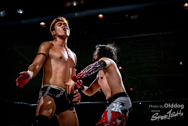 Wrestling-155