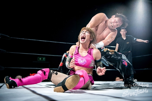 Wrestling-247