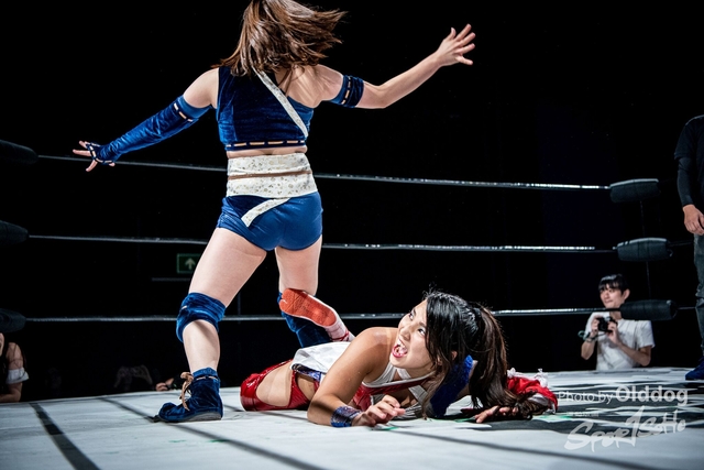 Wrestling-303
