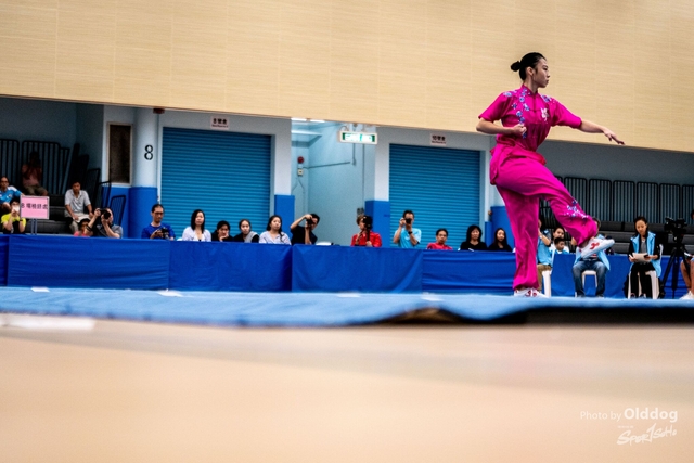 Wushu-13