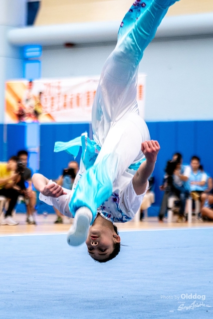 Wushu-30