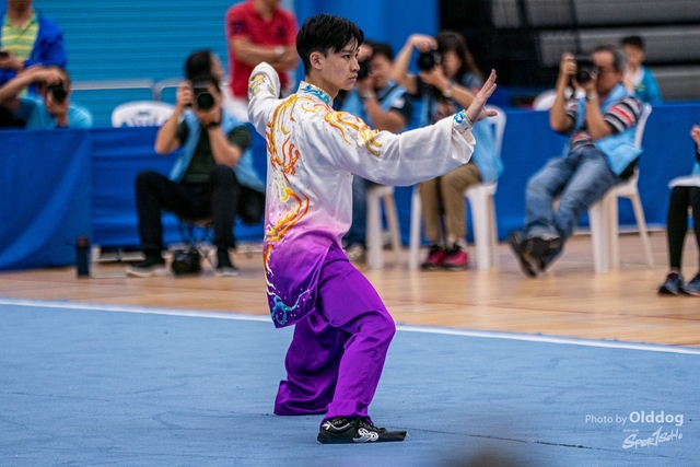 Wushu-91