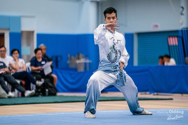 Wushu-93