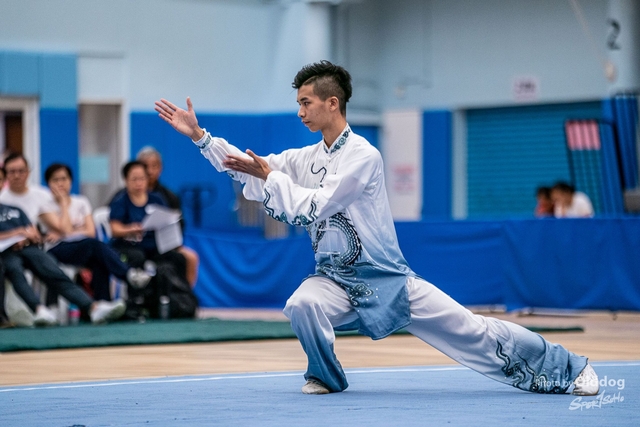 Wushu-94