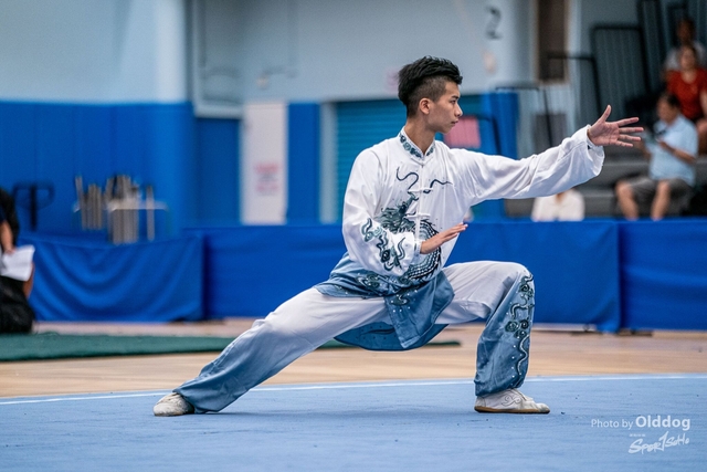 Wushu-95