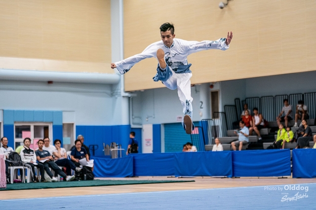 Wushu-96