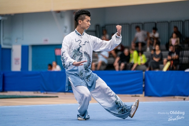 Wushu-99