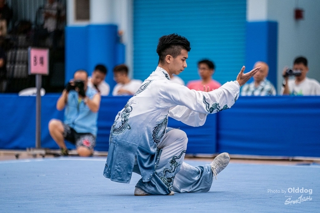 Wushu-100