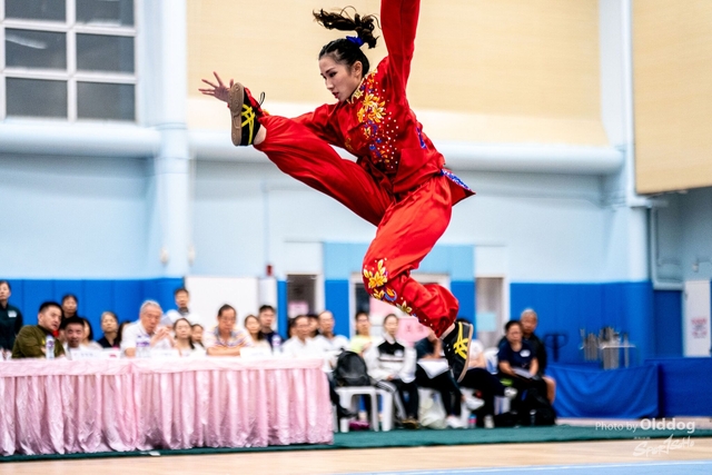 Wushu-150