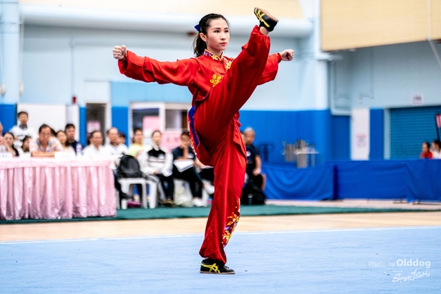 Wushu-153