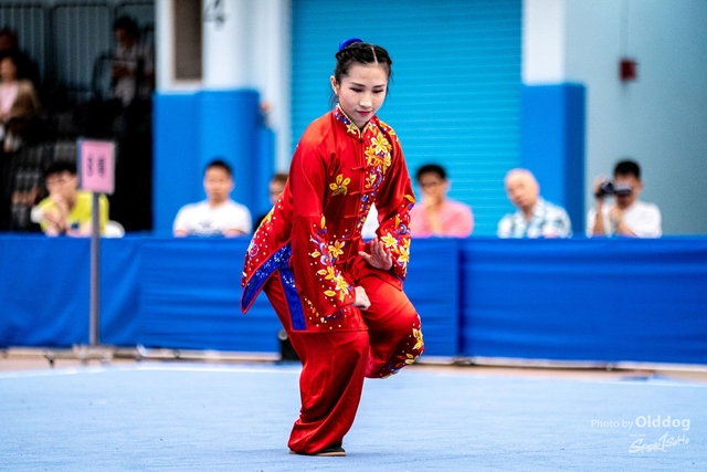 Wushu-160