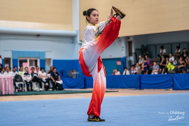 Wushu-180