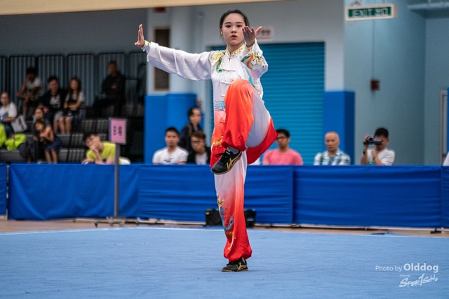Wushu-181