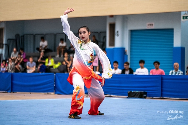 Wushu-190