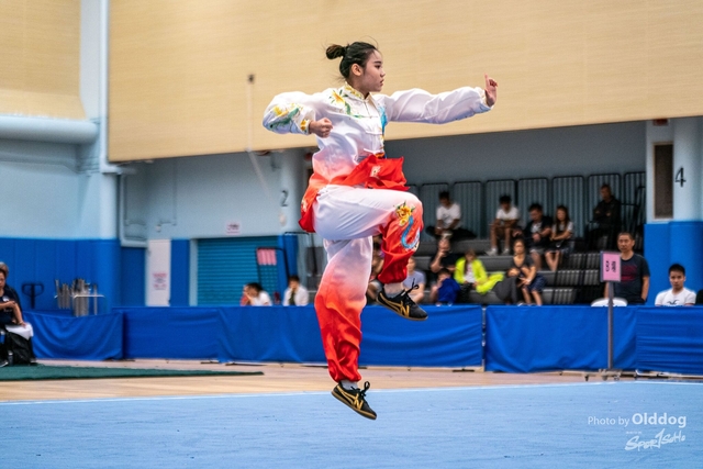 Wushu-191
