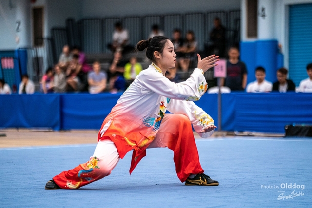 Wushu-192
