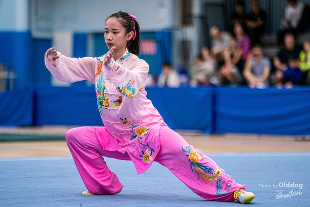 Wushu-195