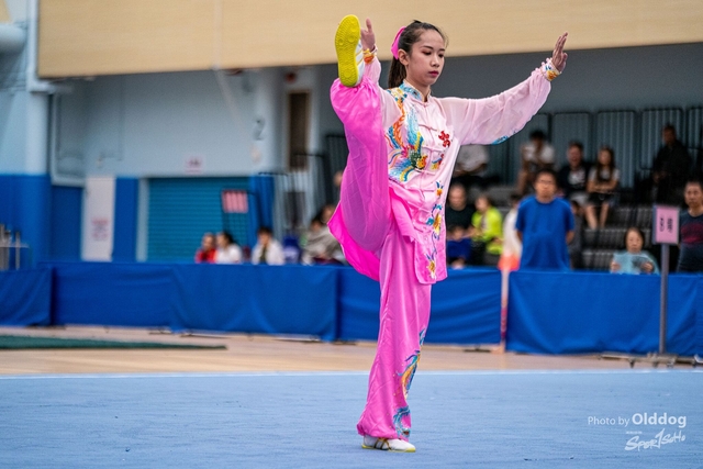 Wushu-197