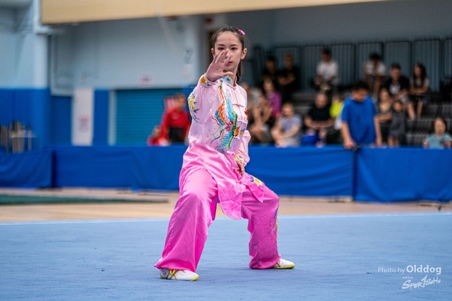 Wushu-201