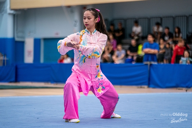 Wushu-202