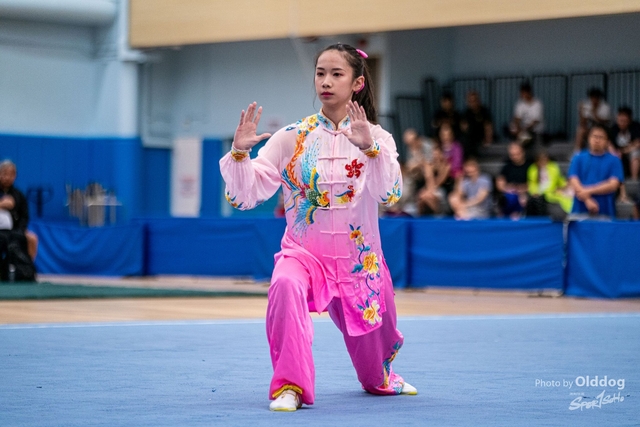 Wushu-205