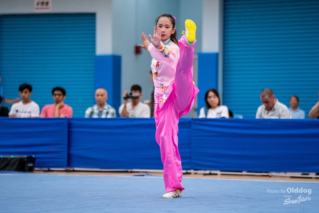 Wushu-208
