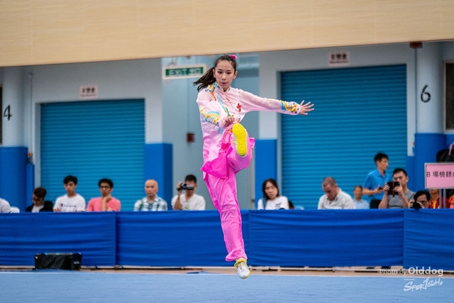 Wushu-209