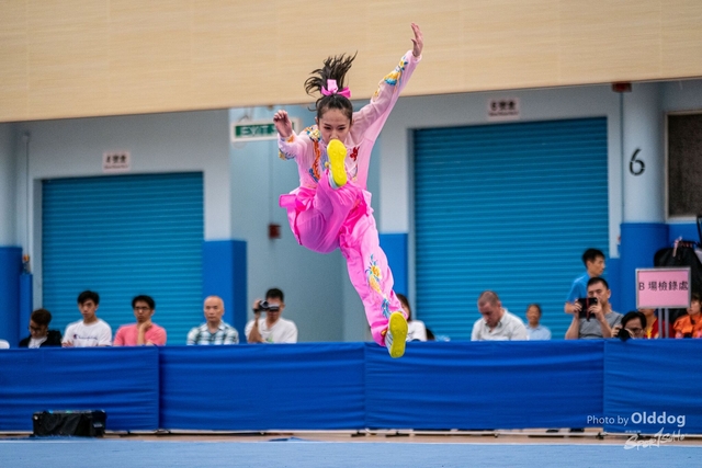 Wushu-210