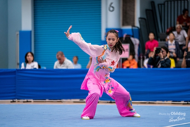 Wushu-211
