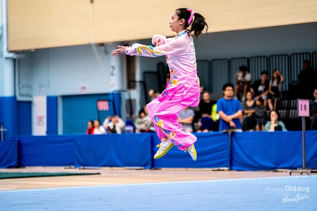 Wushu-213