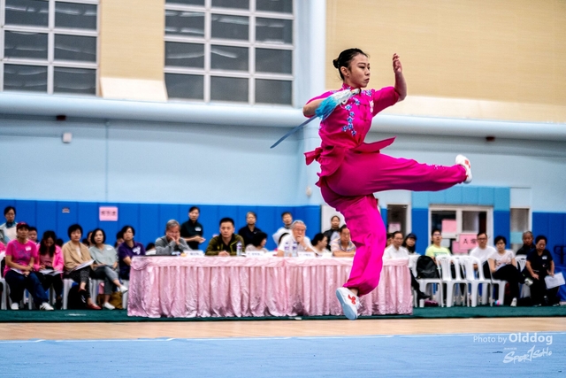 Wushu-237