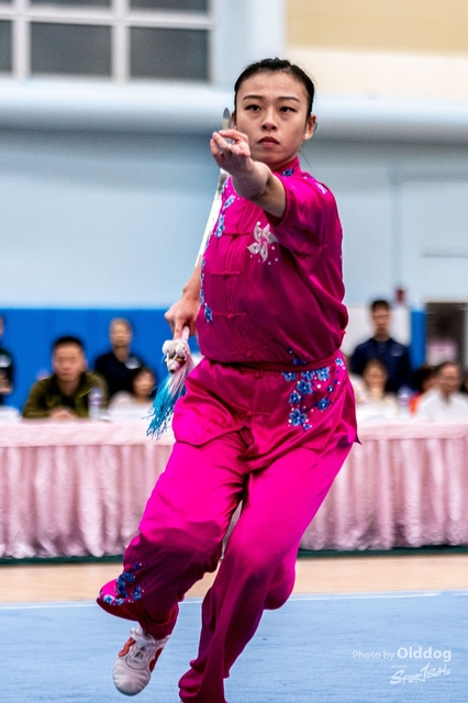 Wushu-239