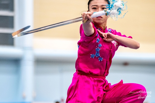 Wushu-240